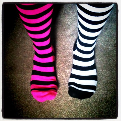 6018492132_cc9b8ef6b3_o