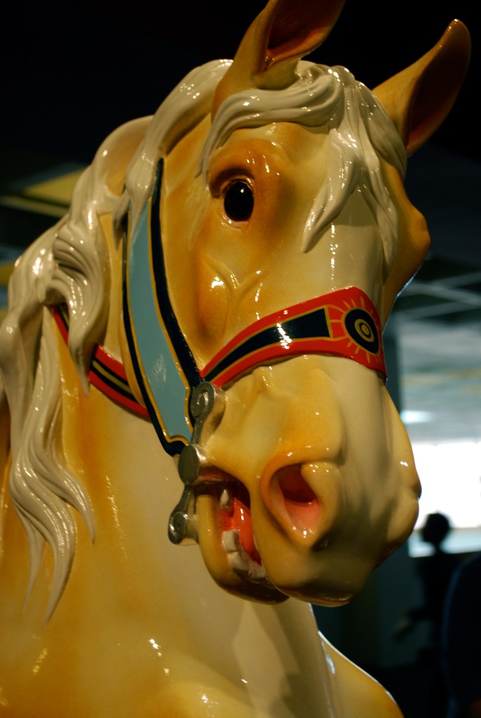 5143273063_807964c8a4_o