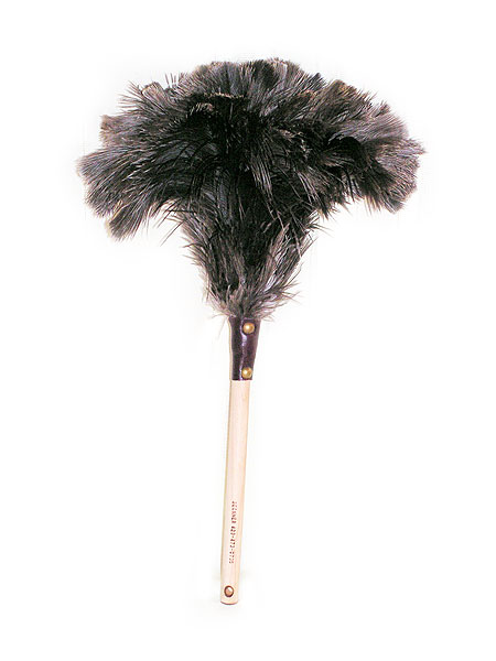 Feather duster courtesy of Robert E Rempher